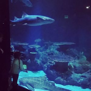 Meet your Posher, Lynn